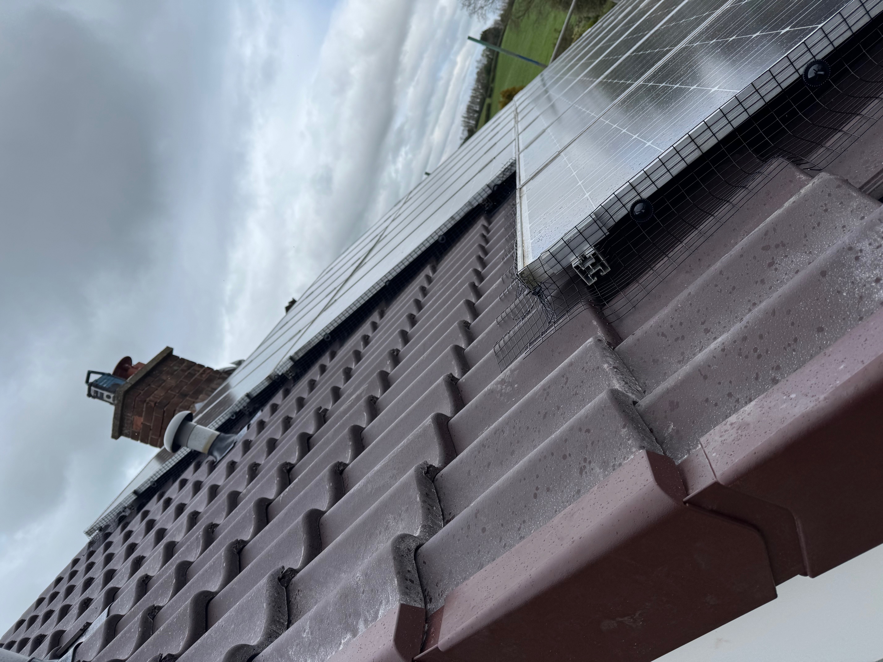 Professional Roofing Services